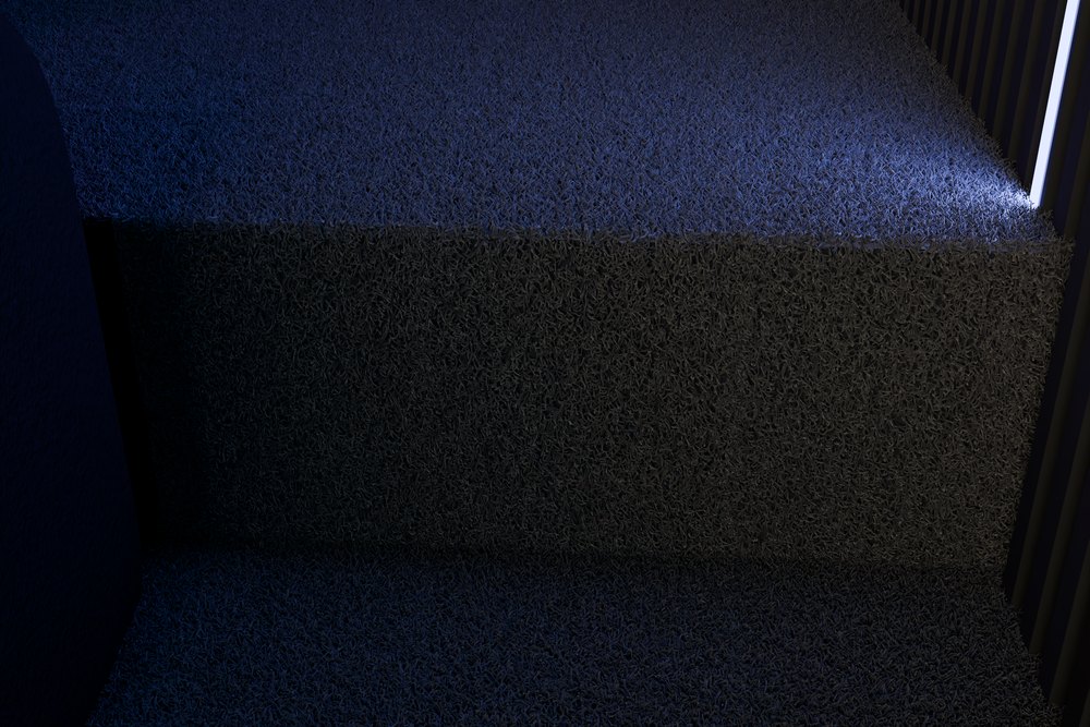 Bio · 4